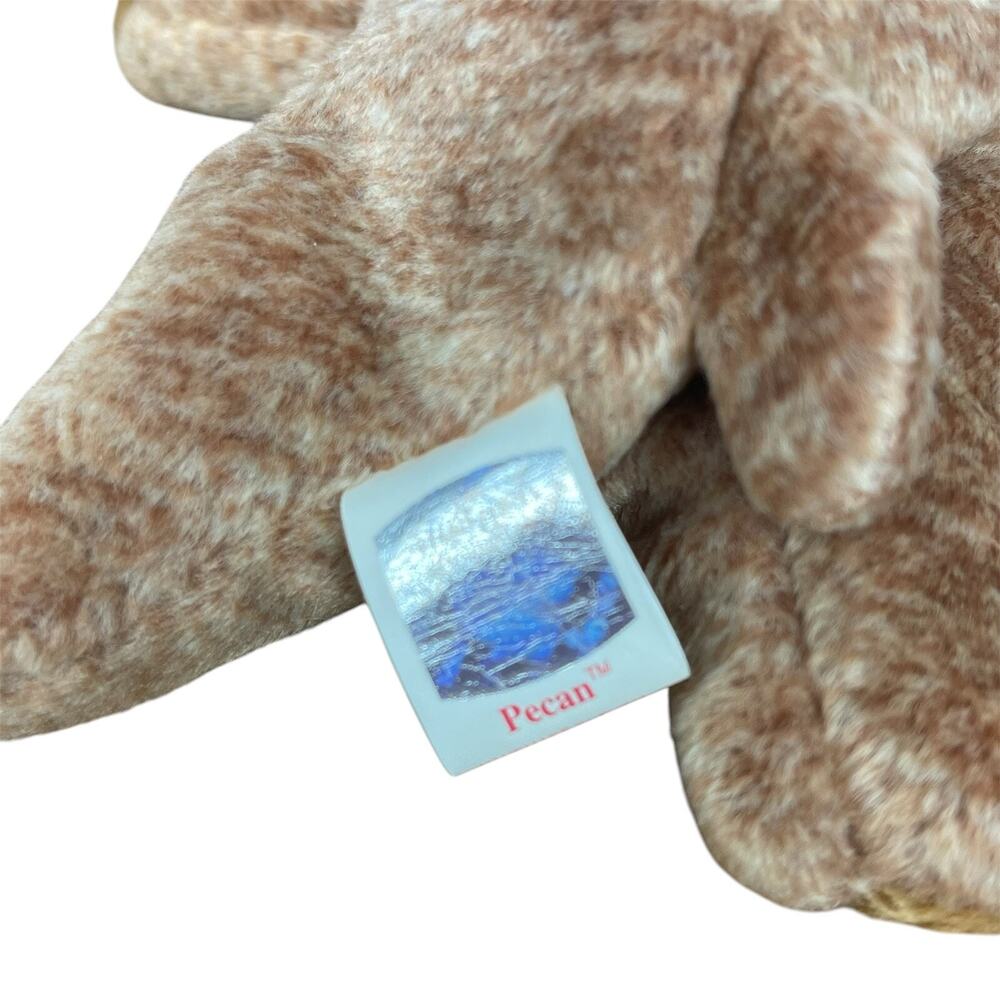 TY Beanie Baby - PECAN the Gold Bear (5.5 inch) - NWT Stuffed Animal Toy New - Picture 5 of 6
